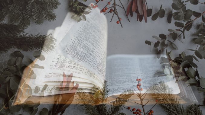 Open bible overlaid over Christmassy background with holly, etc.